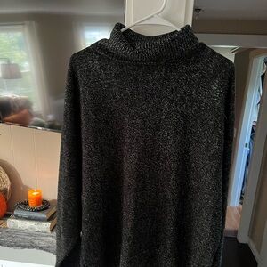 Express Black Sparkle Sweater